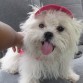 LISTA PARA SALIR A PASEAR
